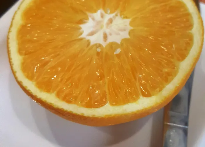 호텔 De La Boetie 보르도